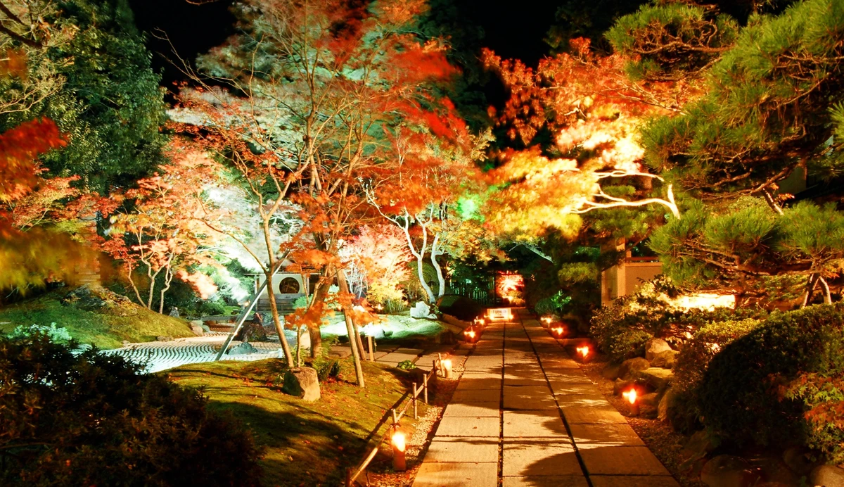 Fall Light-up at Entsuin Temple