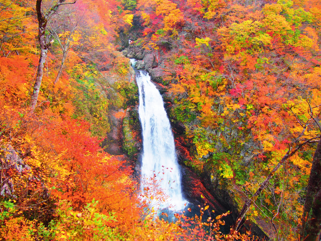 Miyagi’s Autumn Foliage Spots
